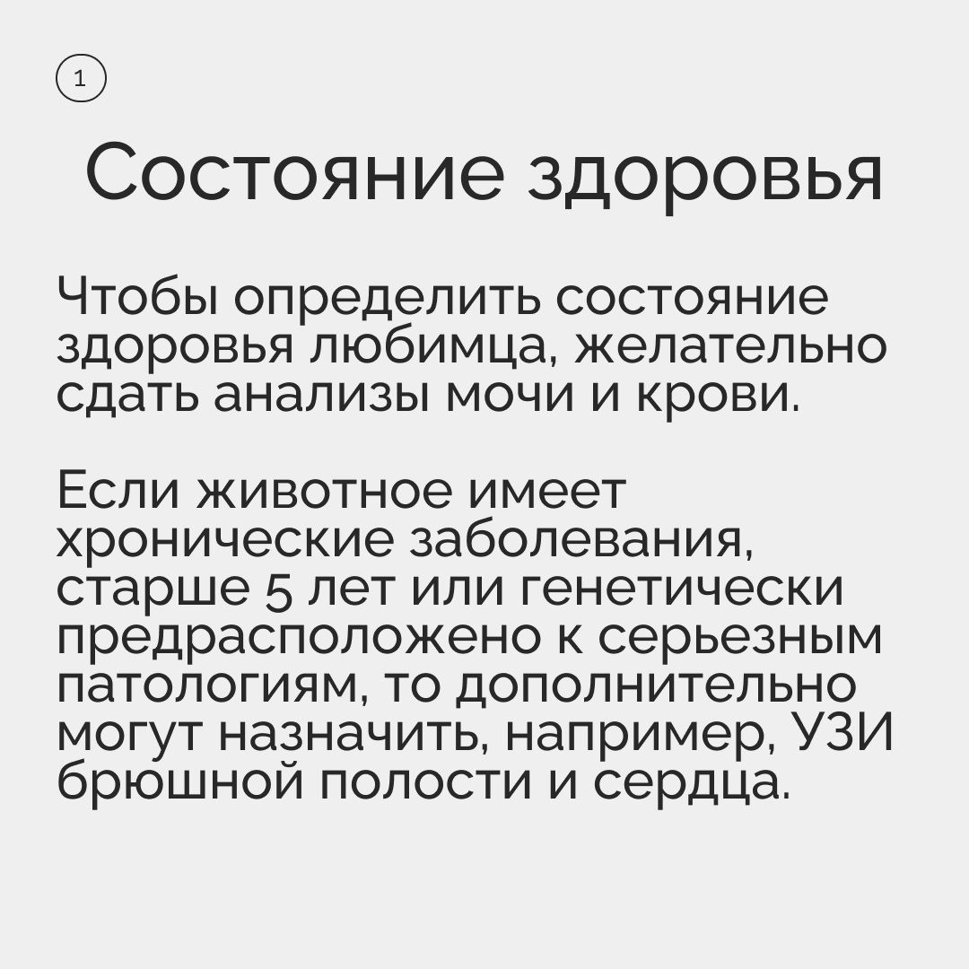 Подготовка домашнего животного к стерилизации | Пикабу