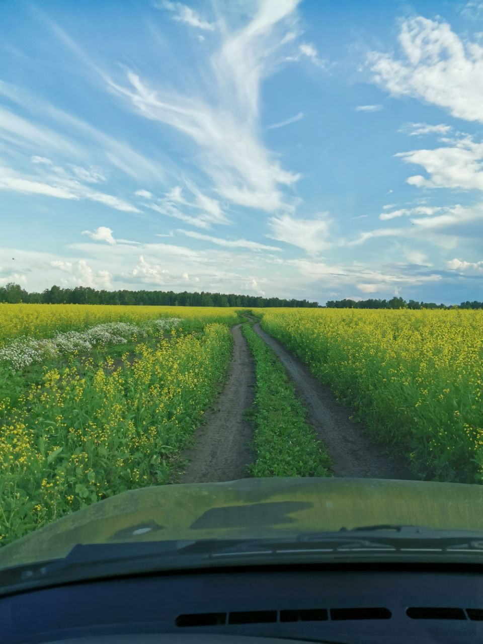 Шесть лет эксплуатации Нивы Шевроле. Пожалел ли я, хоть раз, о покупке ...
