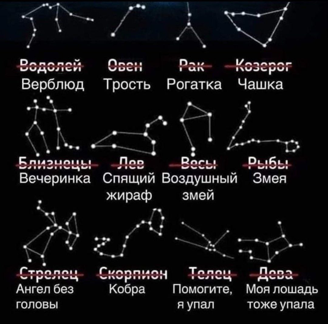 Совместимость Тельца и Девы, по этому гороскопу - 100% | Пикабу