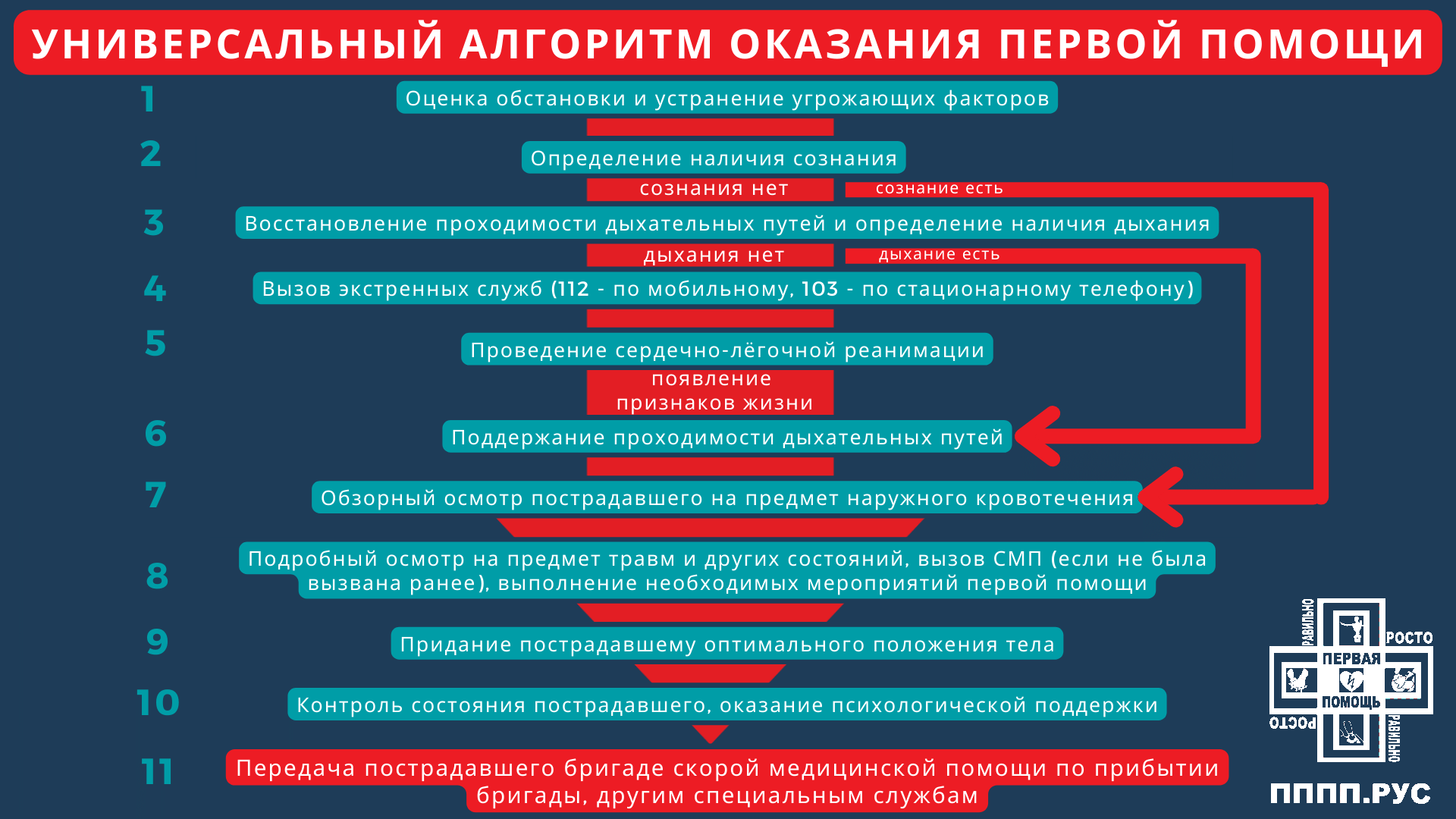 Универсальный алгоритм оказания первой помощи | Пикабу