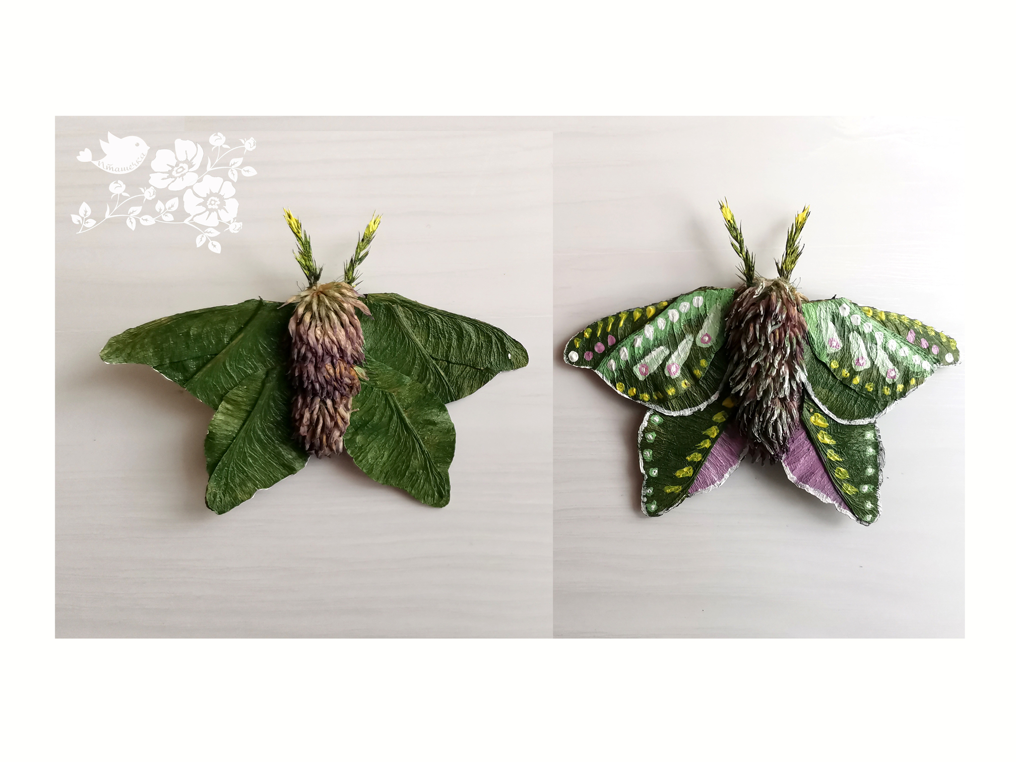 Пошаговая инструкция с фото: как сделать бабочку из ракушек