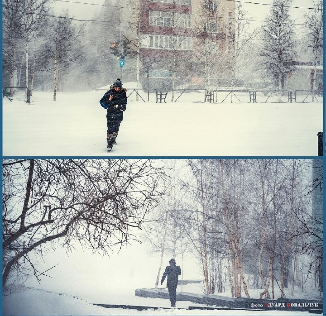 Ответ на пост «Продолжение поста 