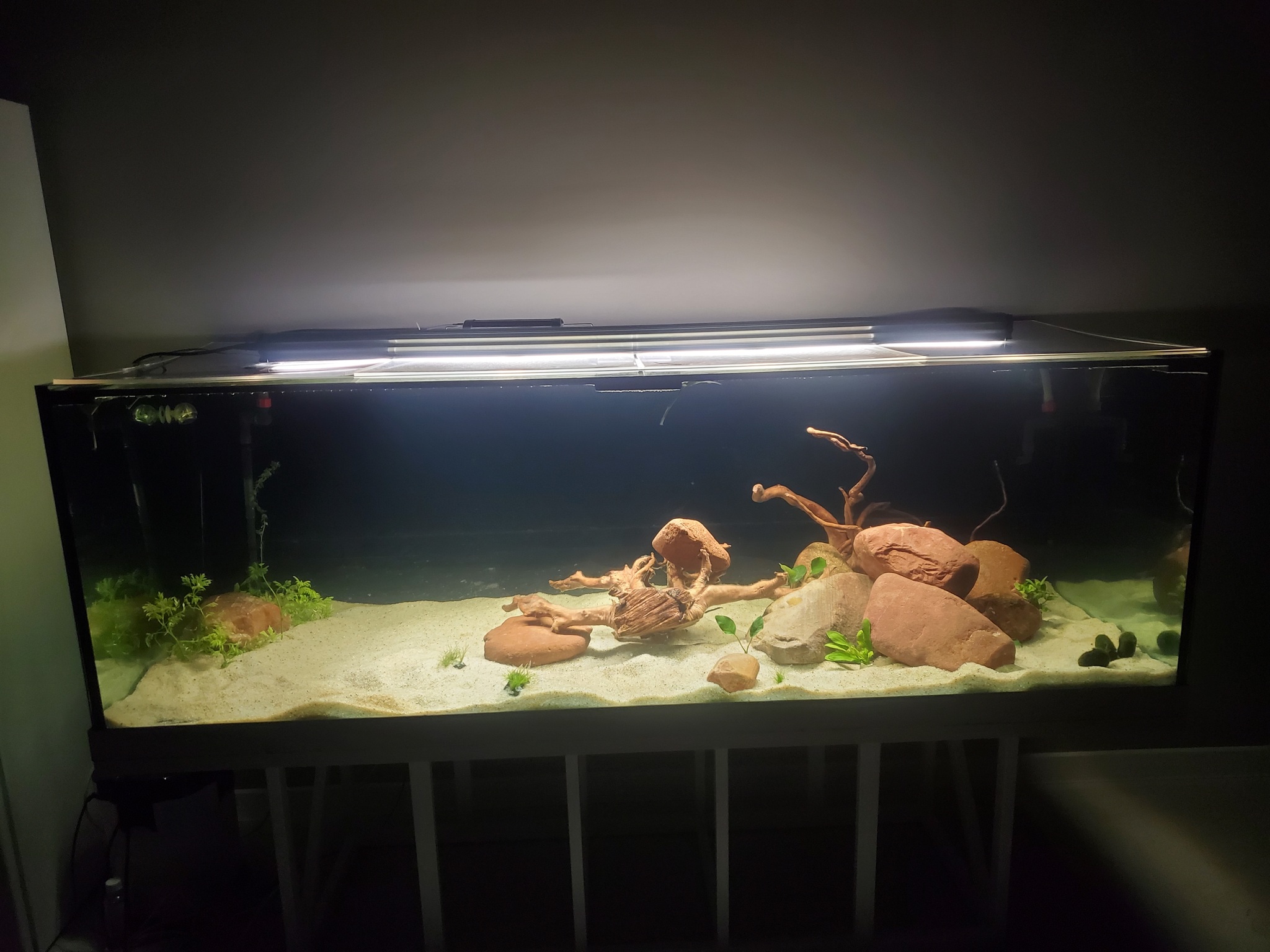 Cамодельный аквариум