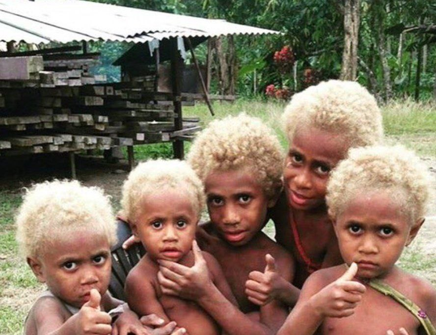 Австралия раса. Меланезийская раса австралоидная. Меланезийцы с Соломоновых островов. Меланезийцы Океании. Темнокожие с белыми волосами.