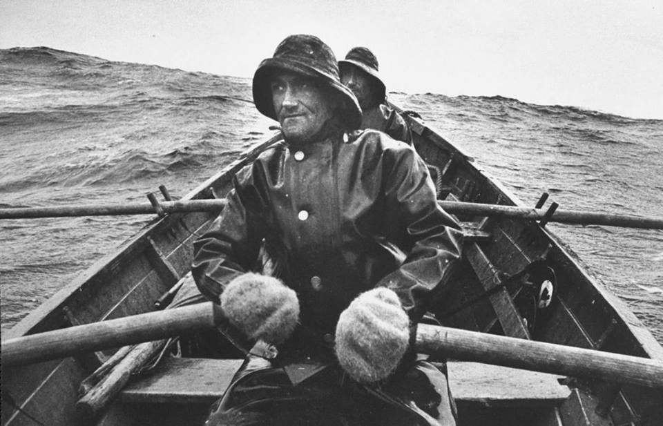 Наши герои.Отважный заплыв | Пикабу