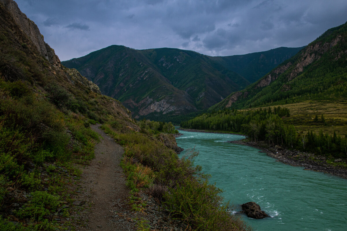 Инегень горный Алтай село