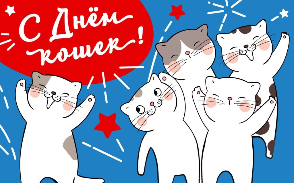 С днём кошек всех! | Пикабу