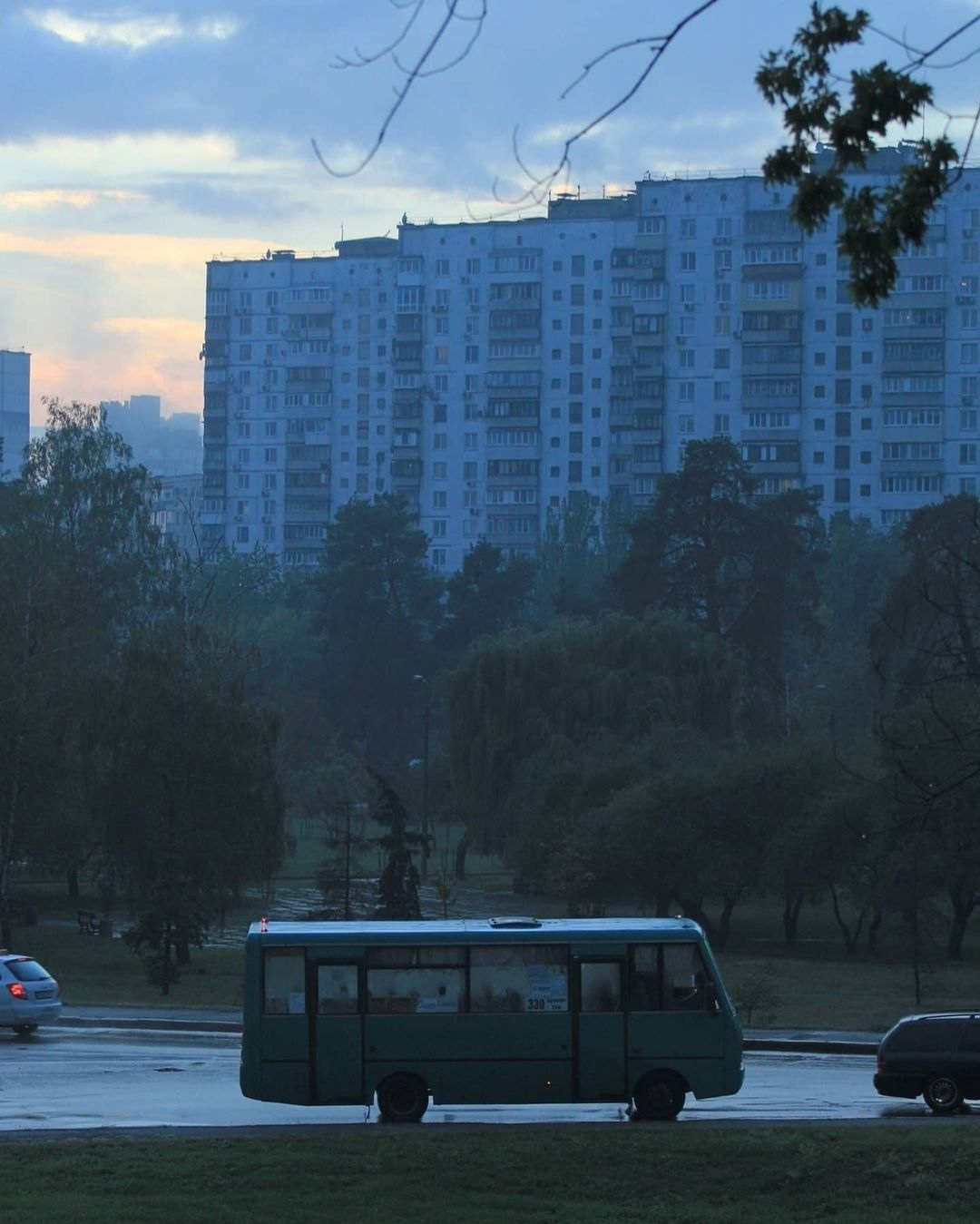 Летнее утро... | Пикабу