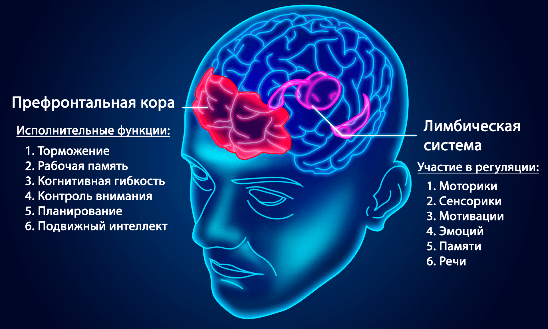 Видеоигры-стратегии развивают когнитивную гибкость | Пикабу