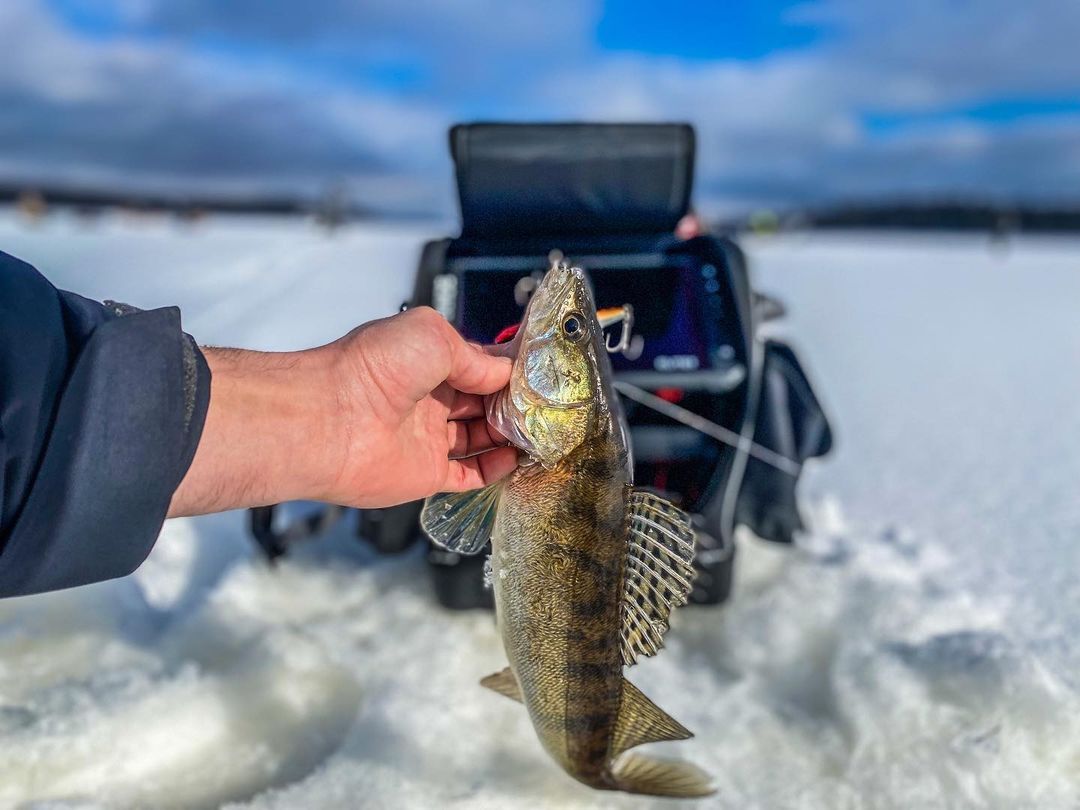 Весеннее солнышко, отличная компания, судачки! | Пикабу