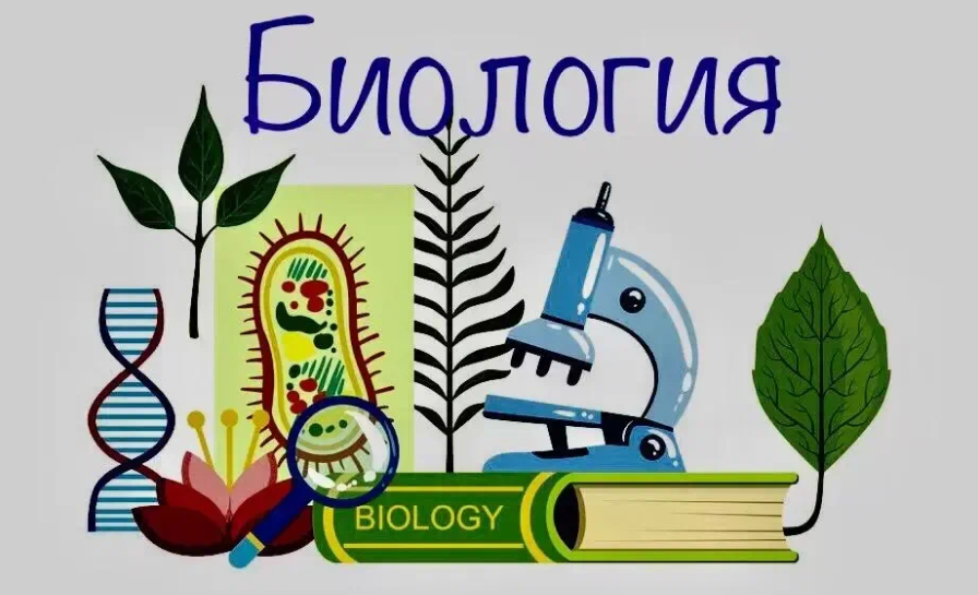 Биология в школе. Странная программа обучения. В чём смысл? | Пикабу