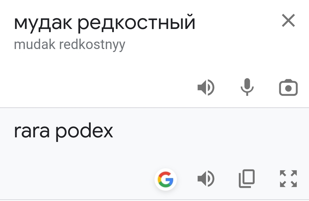 В переводе на латынь | Пикабу