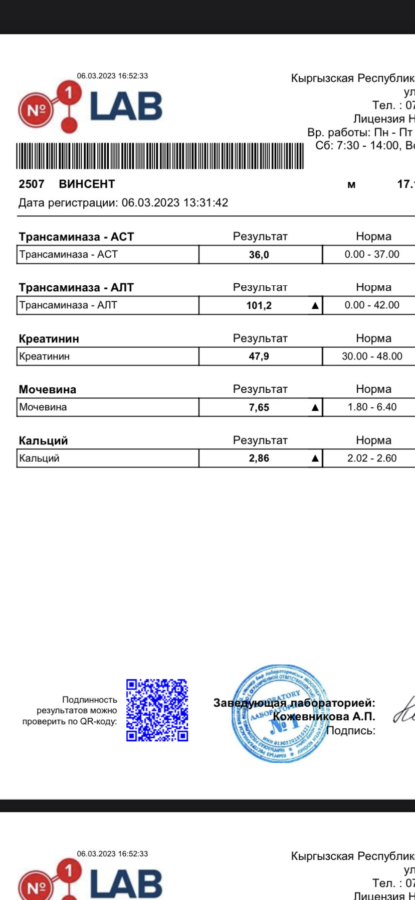 Помогите с диагнозом | Пикабу