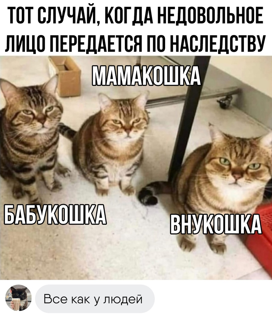 По наследству | Пикабу