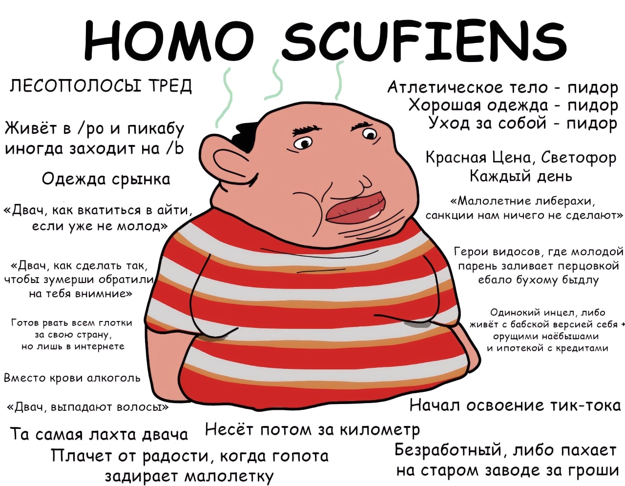 Homo Scufiens - Скуф обыкновенный | Пикабу