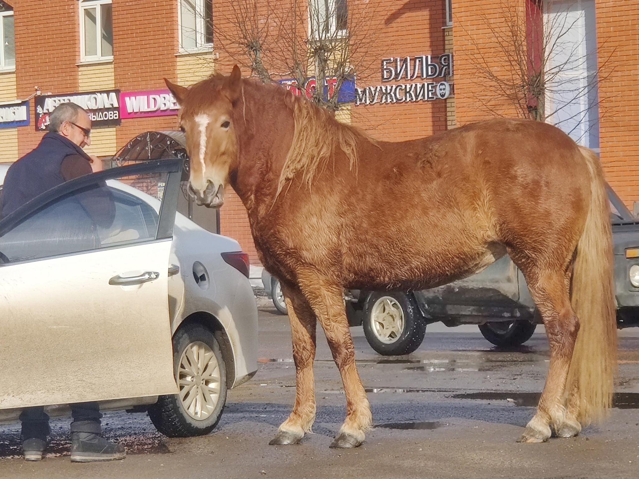 Билья мужские ! | Пикабу