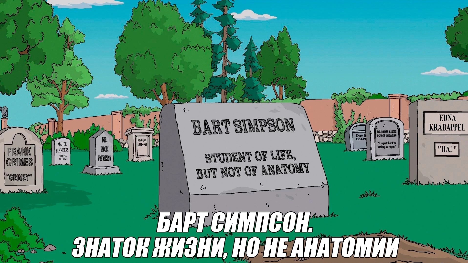 1000 баксов | Пикабу