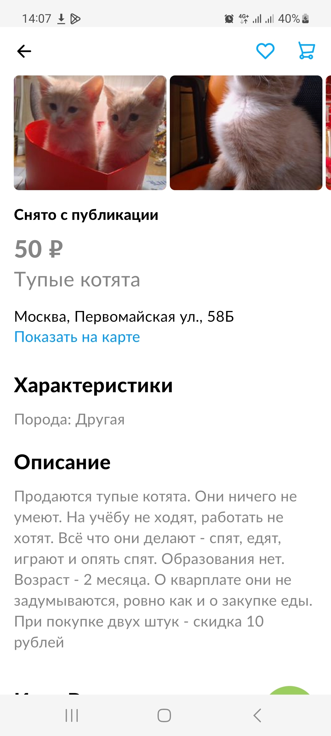 Ответ sdivt в «Котов продаёте?» | Пикабу