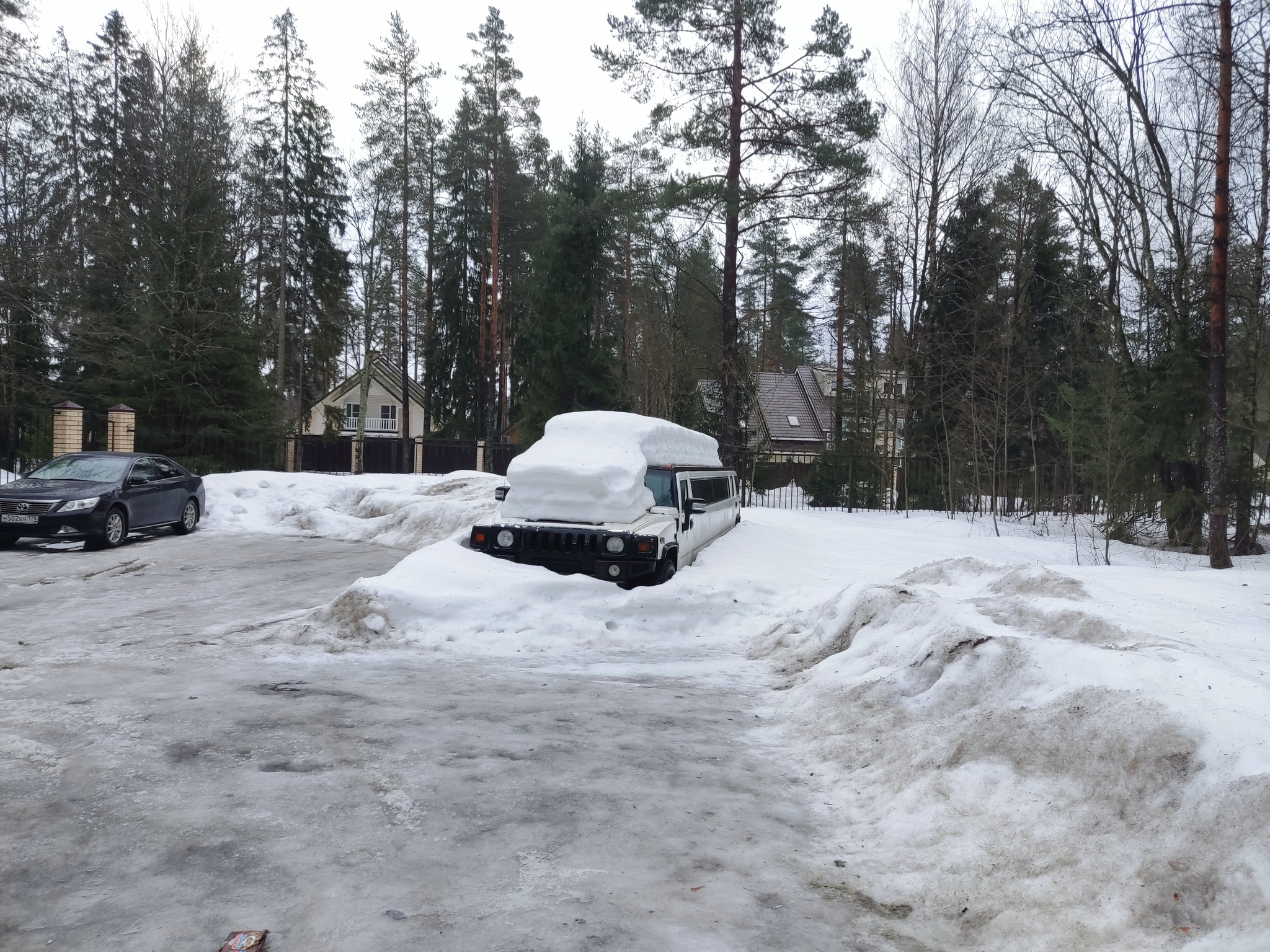 Подснежники у всех разные | Пикабу