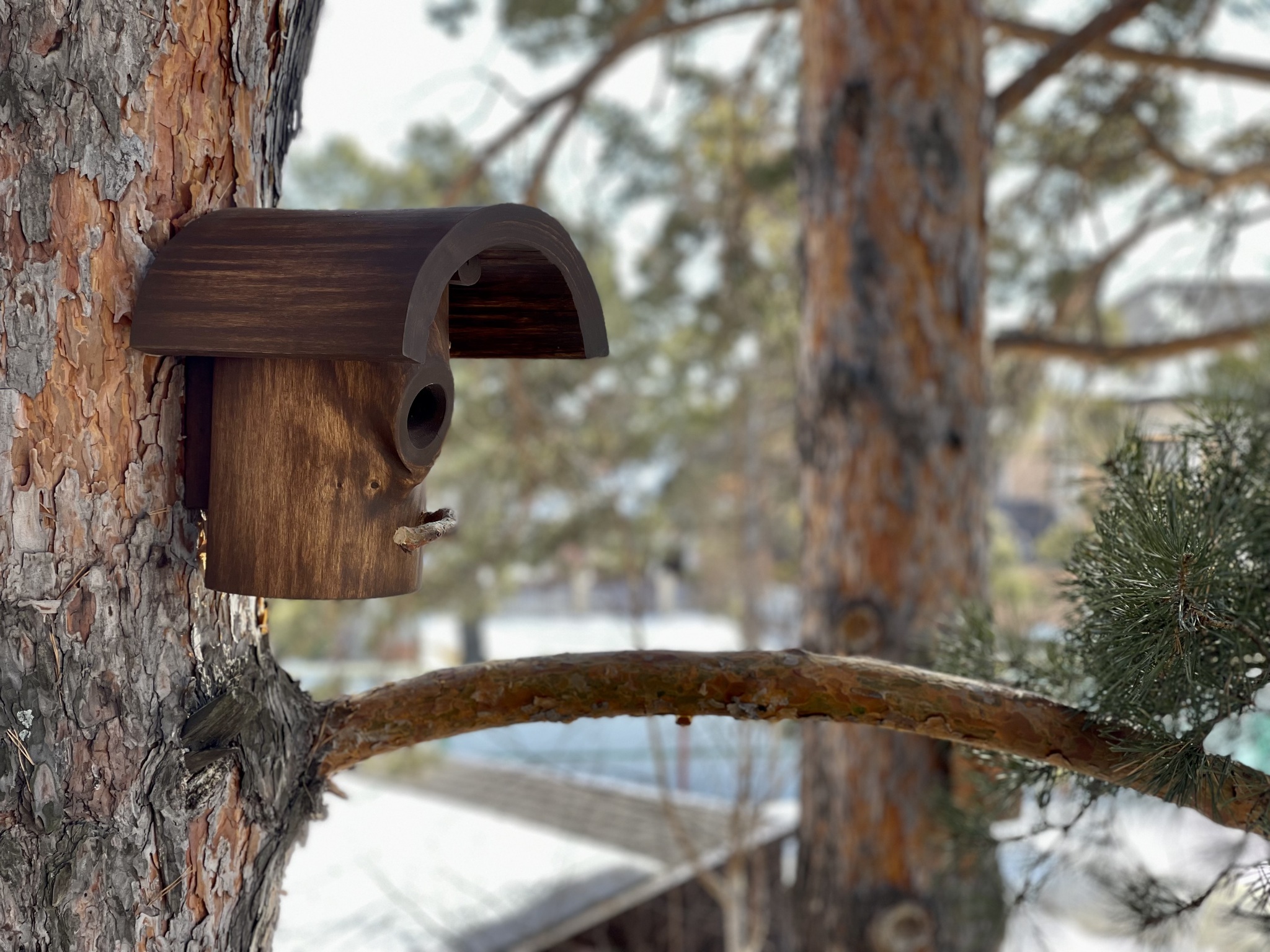 Синичник | Пикабу