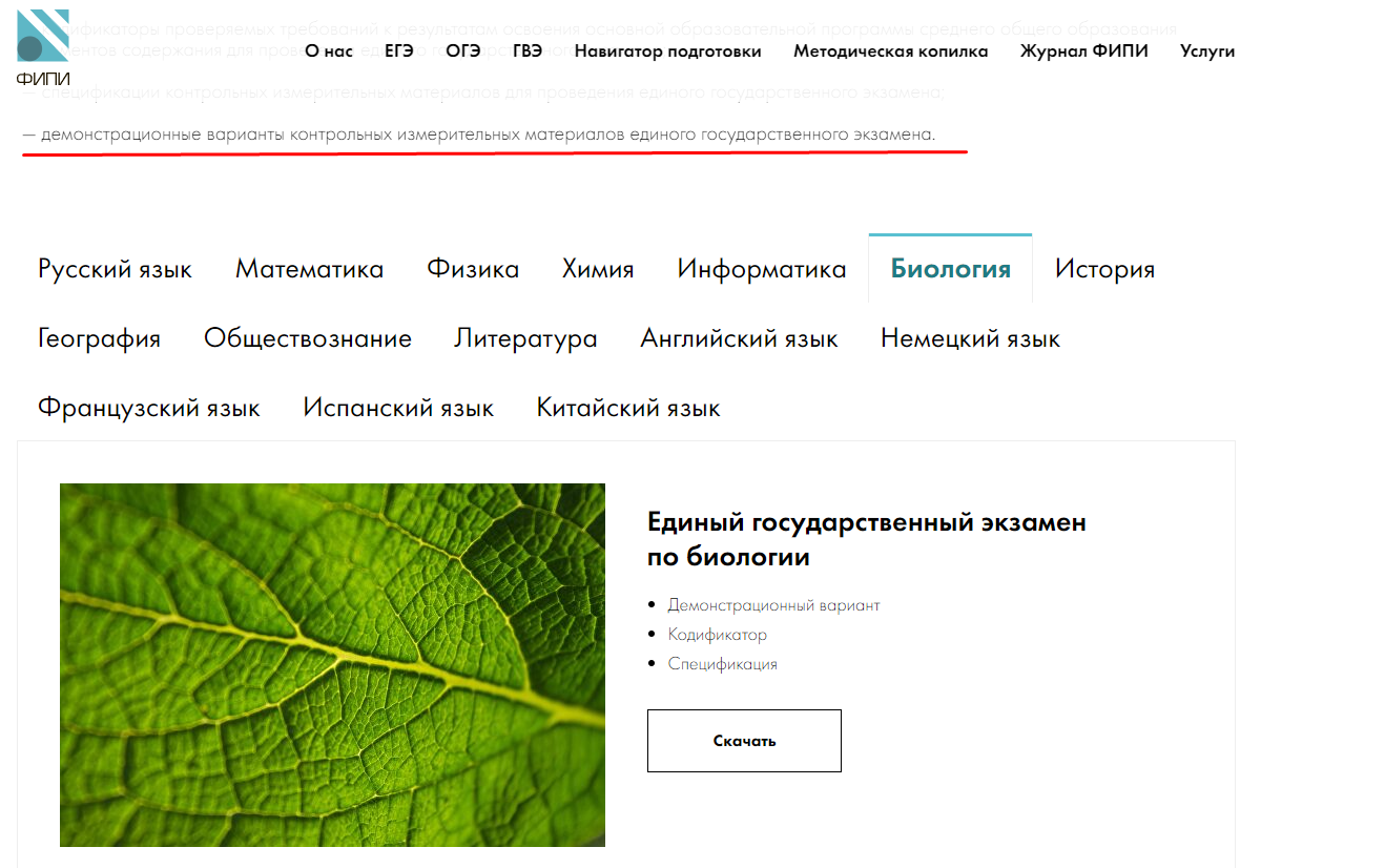 Заставил нейросеть решать ЕГЭ по биологии. Учителя больше не нужны? | Пикабу