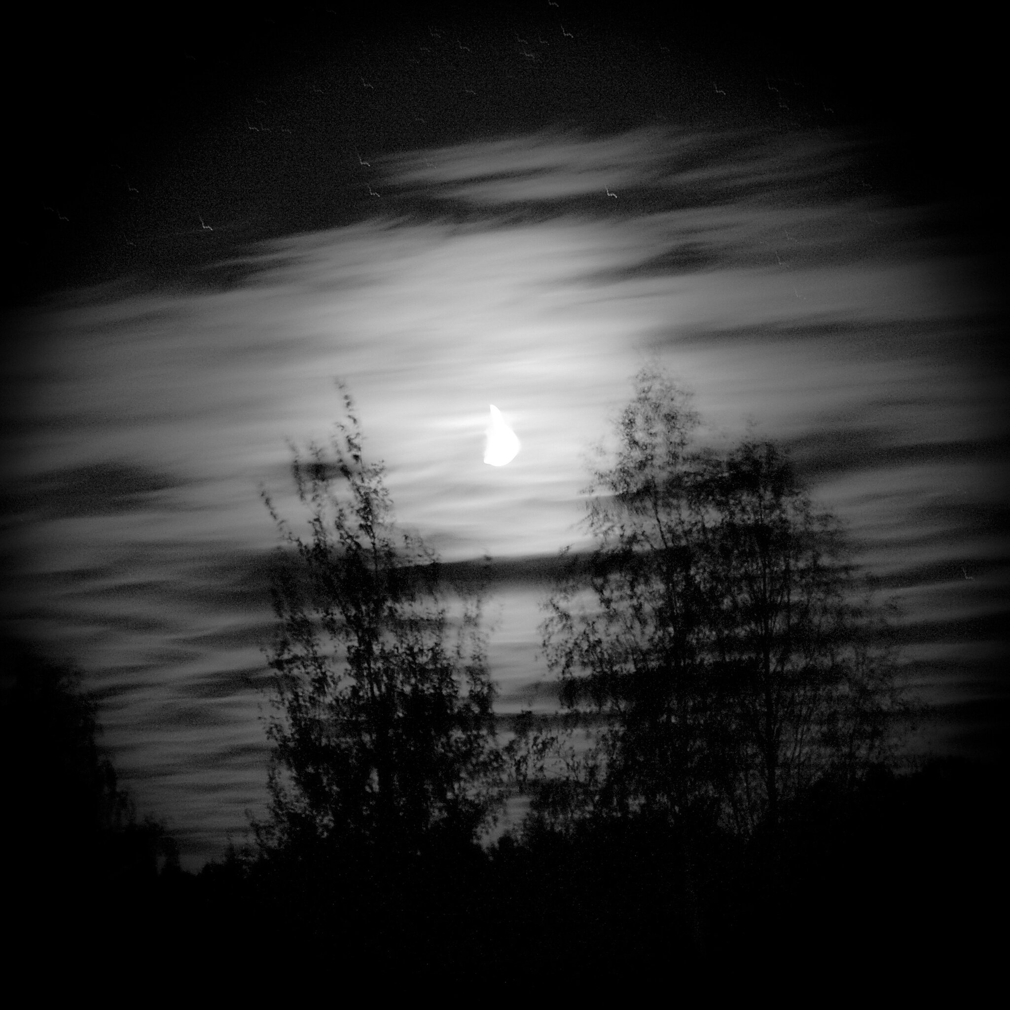 Моя первая выдержка.2010 | Пикабу