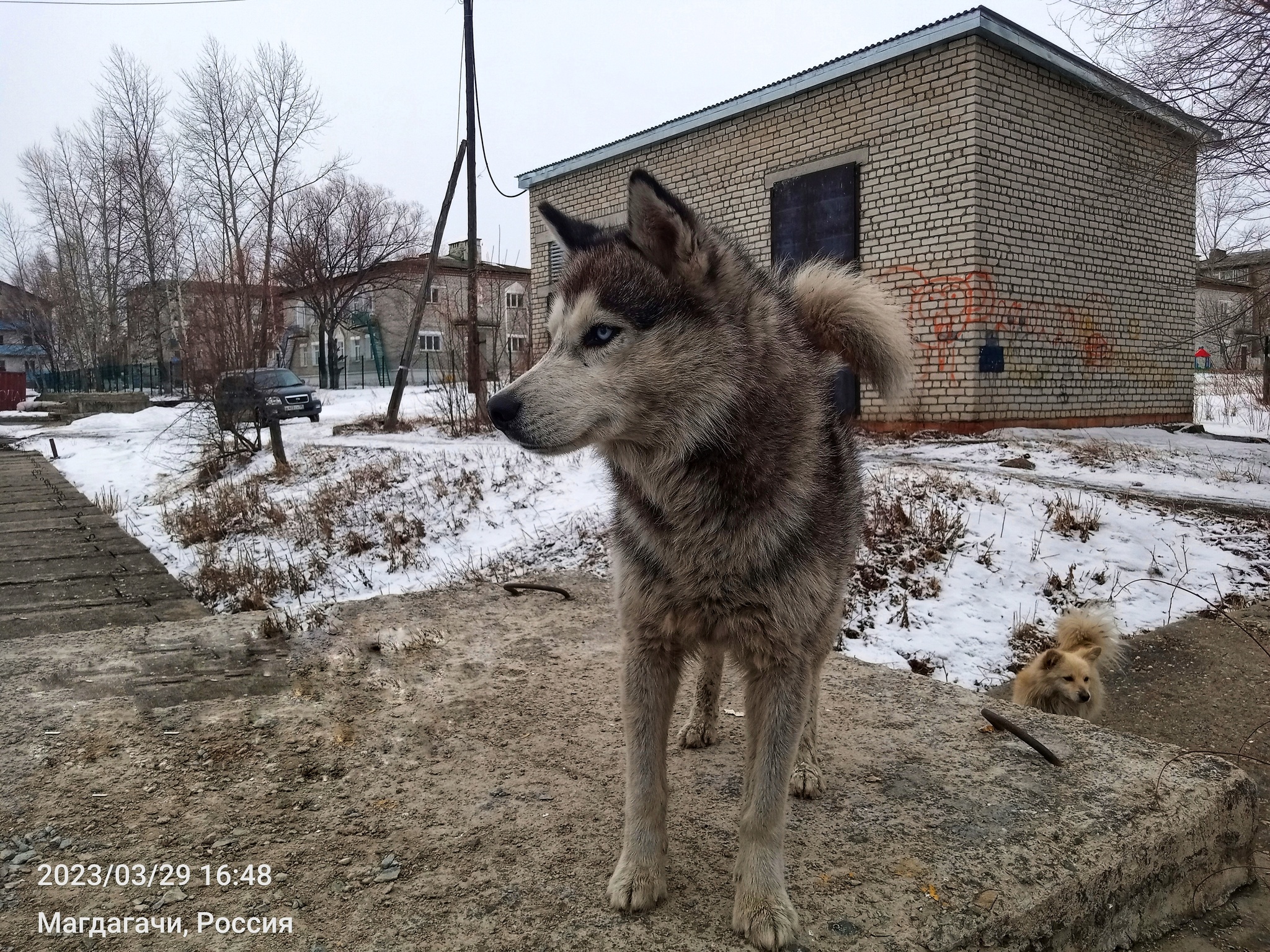 Вертолетный полк в магдагачи