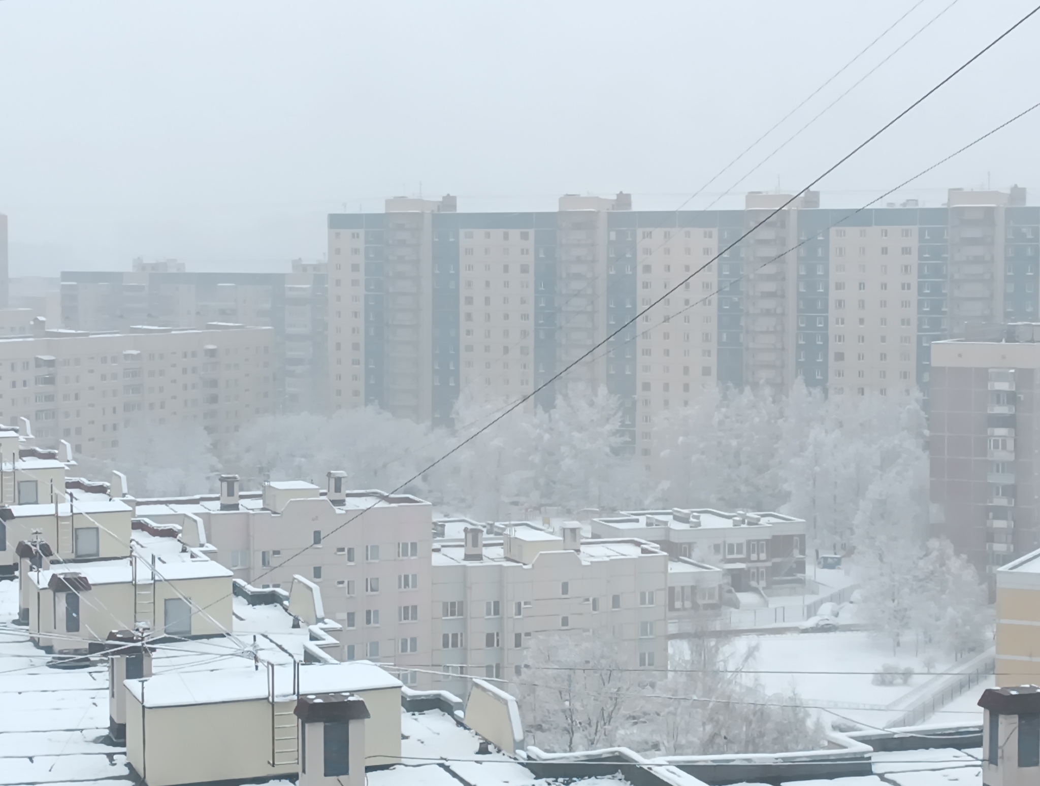 Питер немного январьнуло... | Пикабу