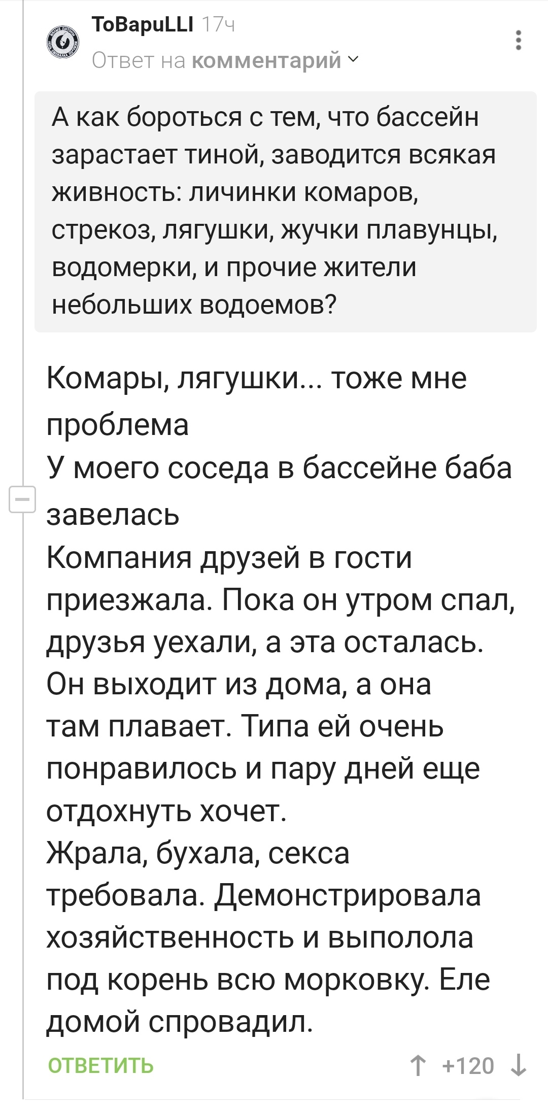 Что заводится в бассейне на даче, и как его чистить? | Пикабу