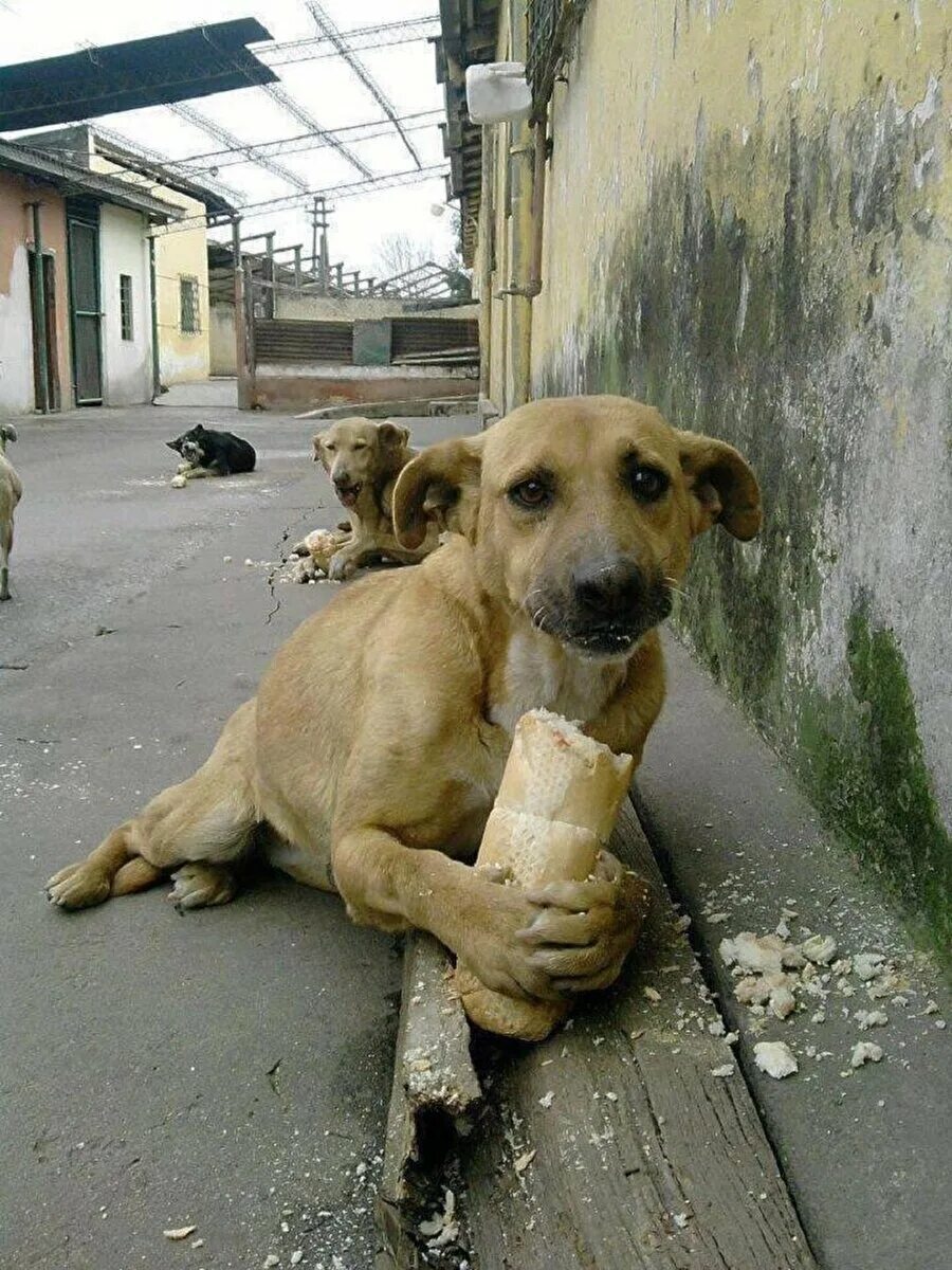 Опять про вредных старух | Пикабу