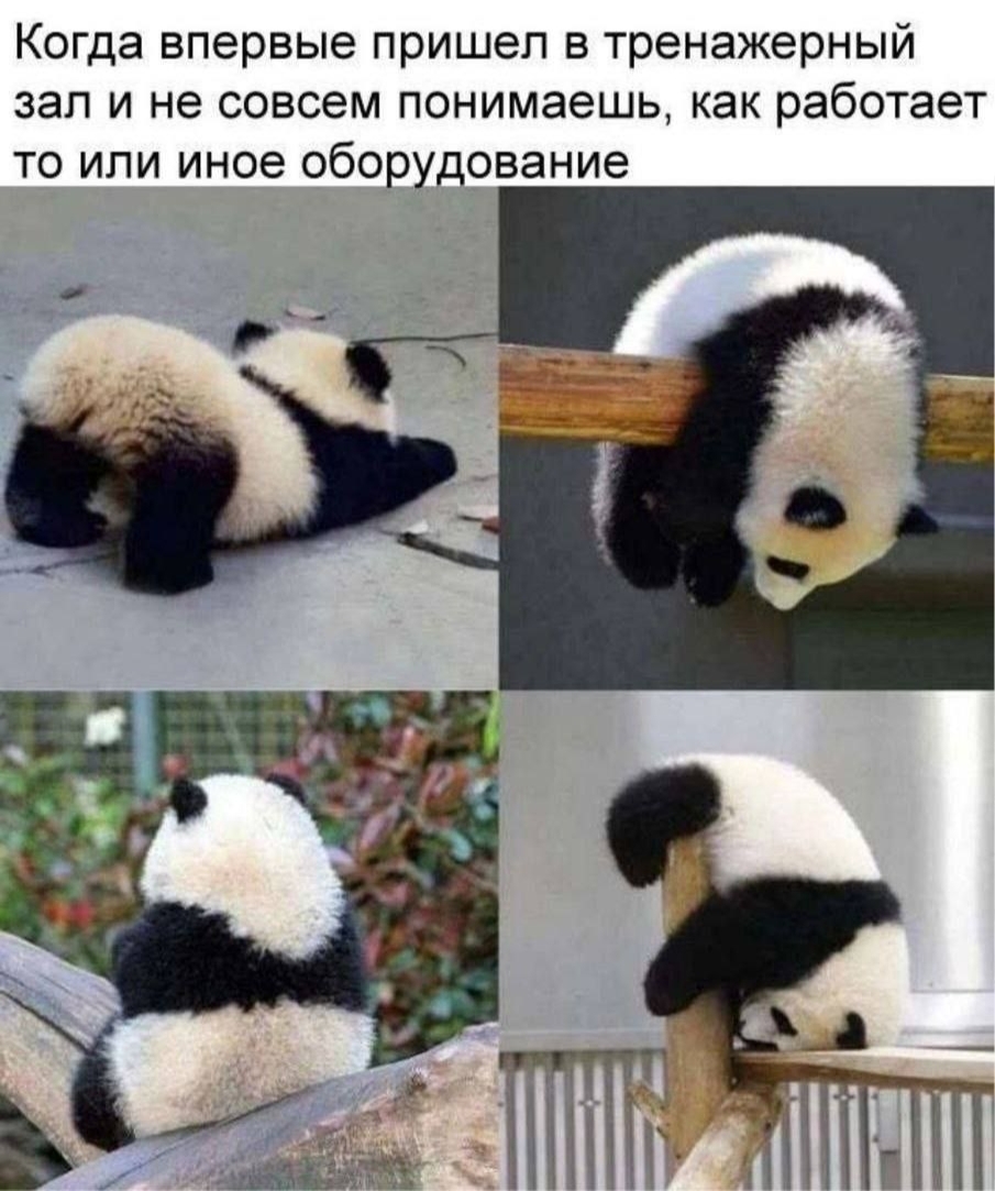 ����������� �������� ���� ��������: ����.