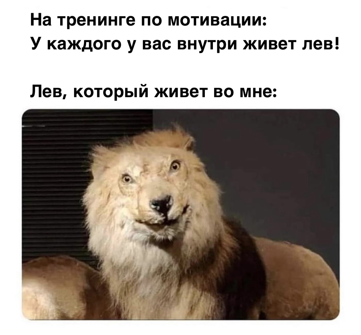 1681236064165897478.jpg
