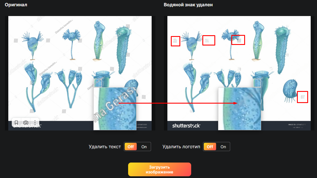 Тг убирающий водяные знаки. Нейросеть убирает водяные знаки. ИИ для удаления водяных знаков. Нейросеть для удаления watermark.
