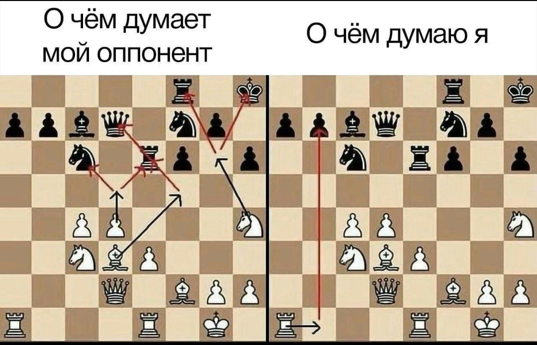 С шахматами жизненно | Пикабу