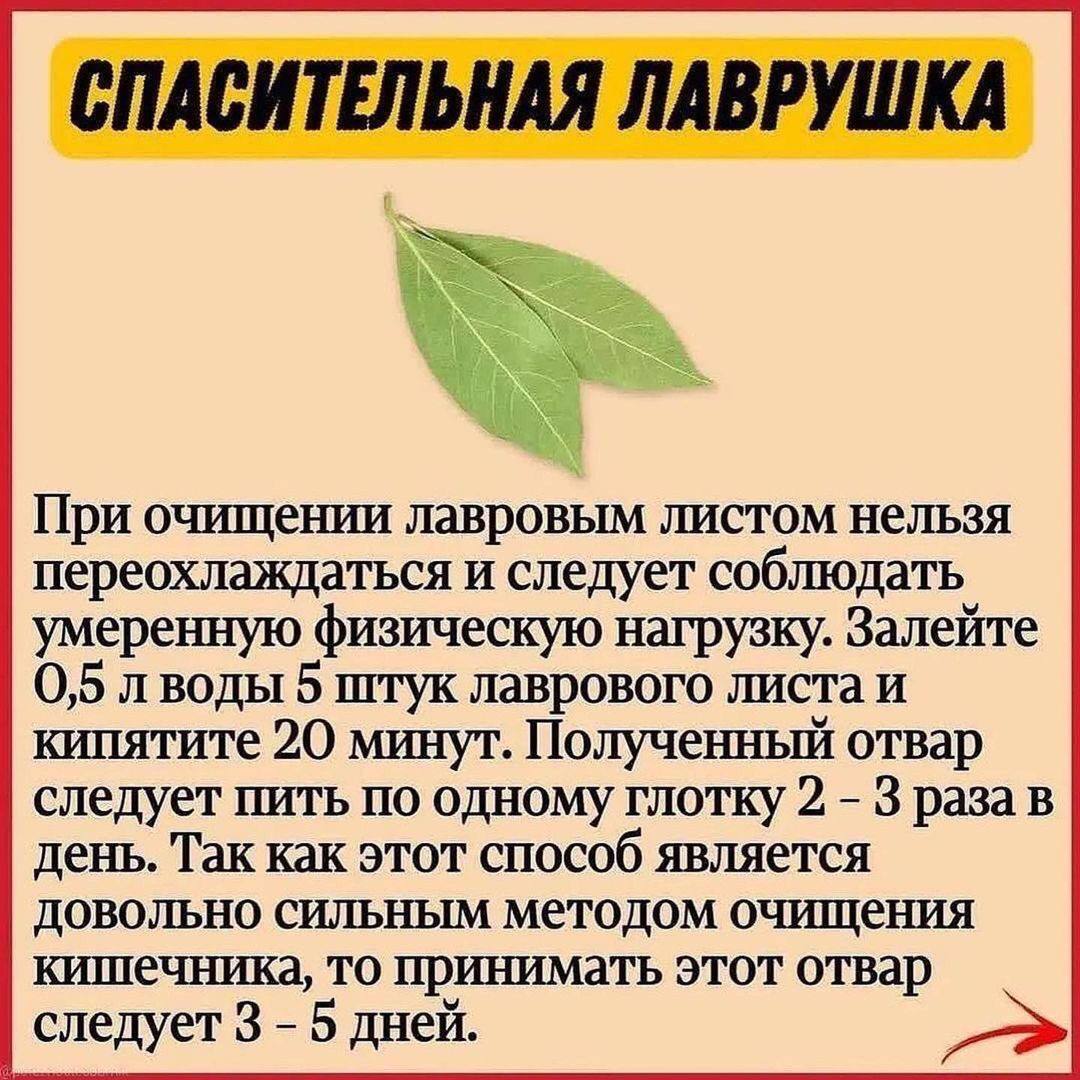 ВЫВОДИМ СОЛИ ИЗ ОРГАНИЗМА !!! | Пикабу