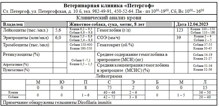 У собаки неустойчивый стул