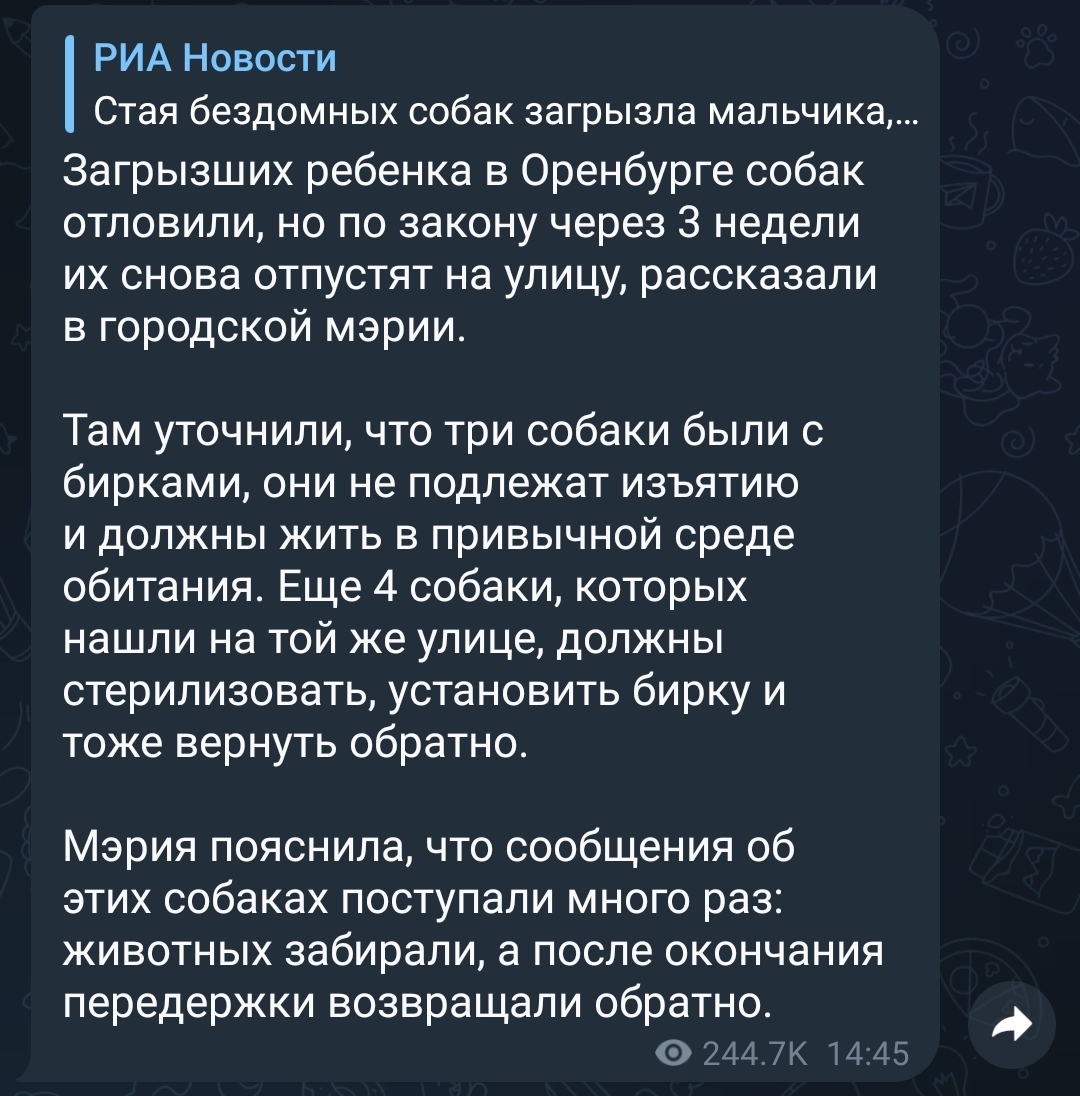 Бродящих собак, загрызших ребёнка в Оренбурге, выпустят обратно в  