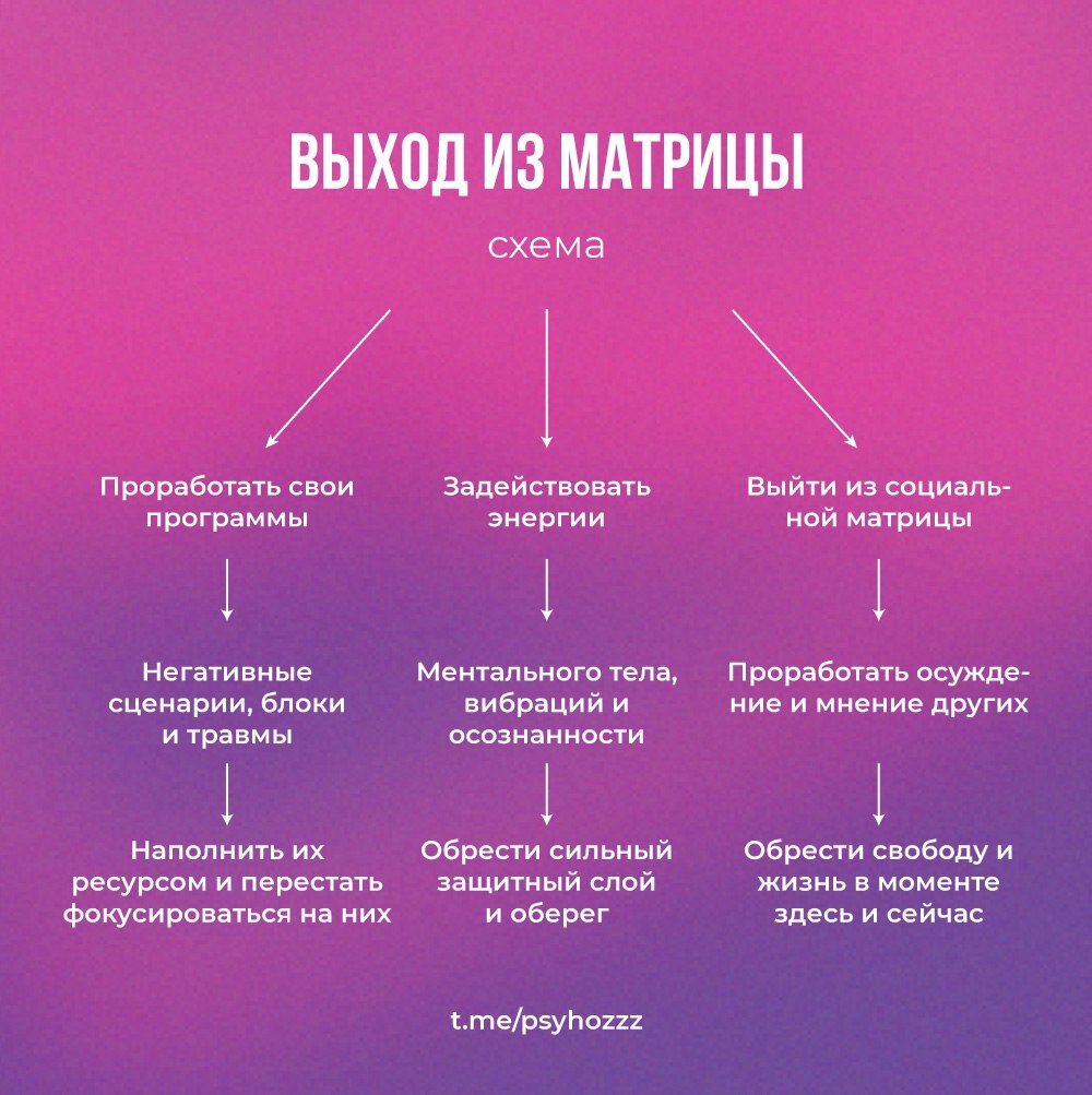 Матрица, жизнь в моменте и просветление | Пикабу