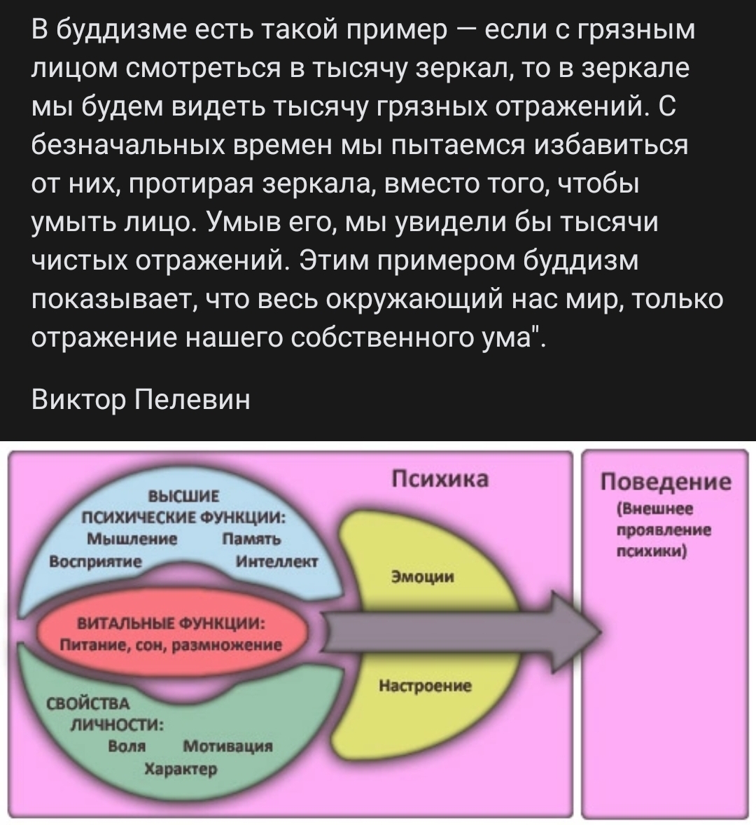 Отражение... | Пикабу