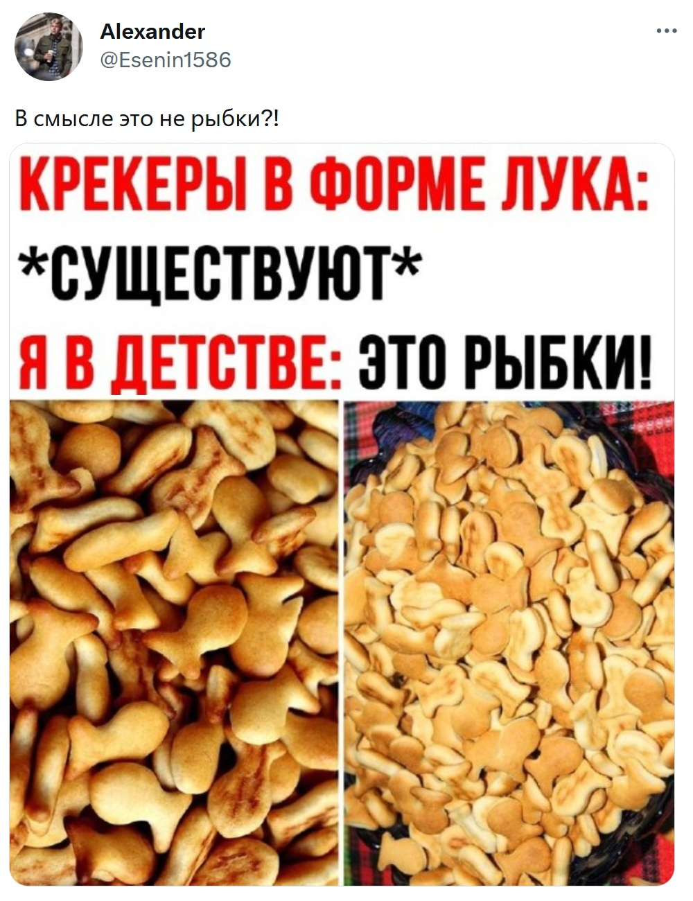 Рыбки или лук? | Пикабу