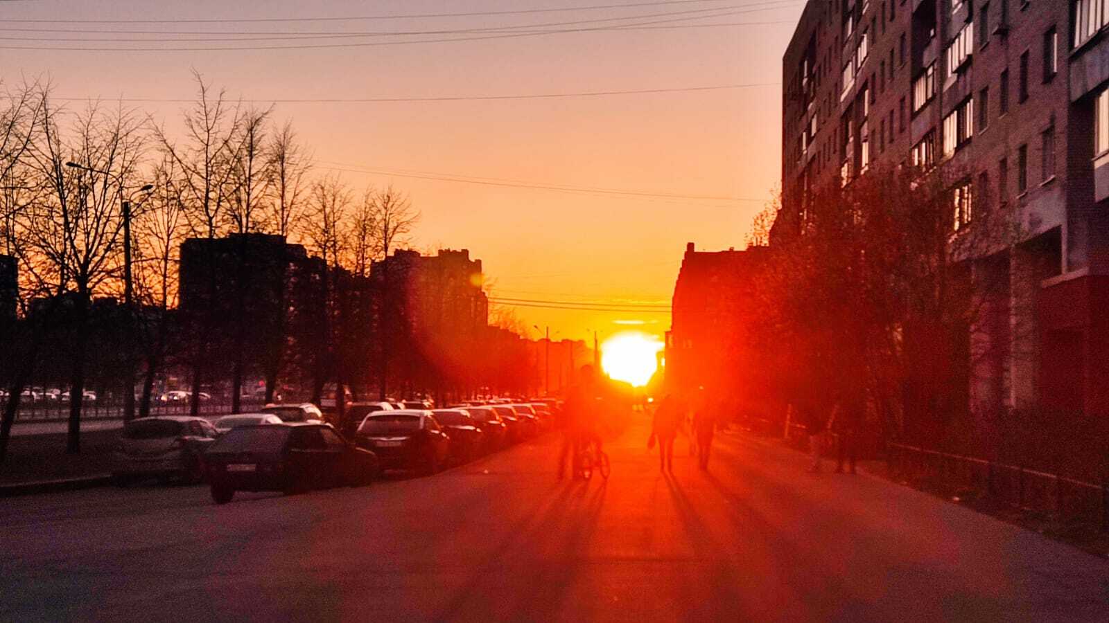 Санкт-Петербург и Экология: новости, события, благоустройство города — Все  посты, страница 6 | Пикабу