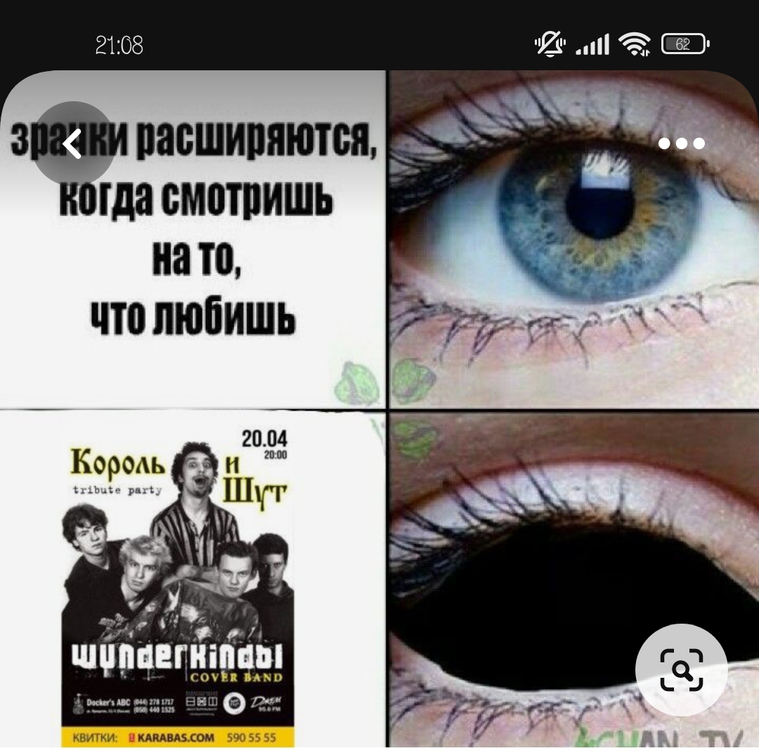 Горшок мем | Пикабу