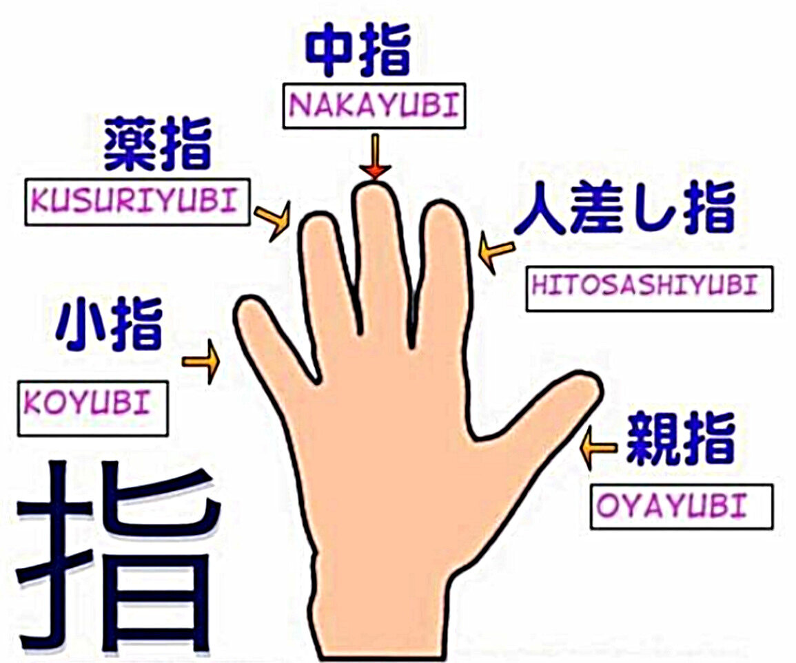 Толстяк, розовый, ушной… Как пальцы рук называются на других языках? |  Пикабу