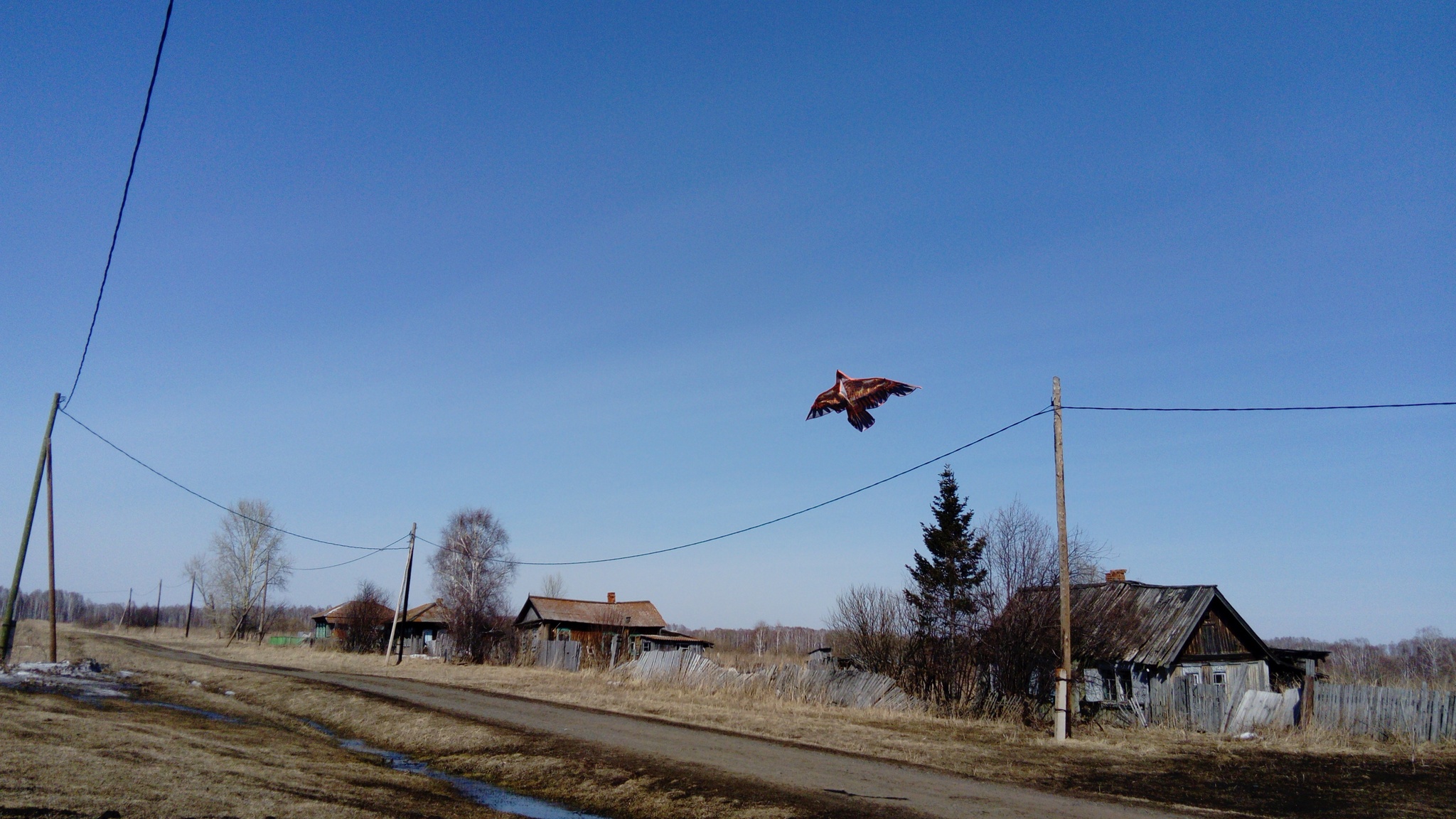 Воздушный змей | Пикабу