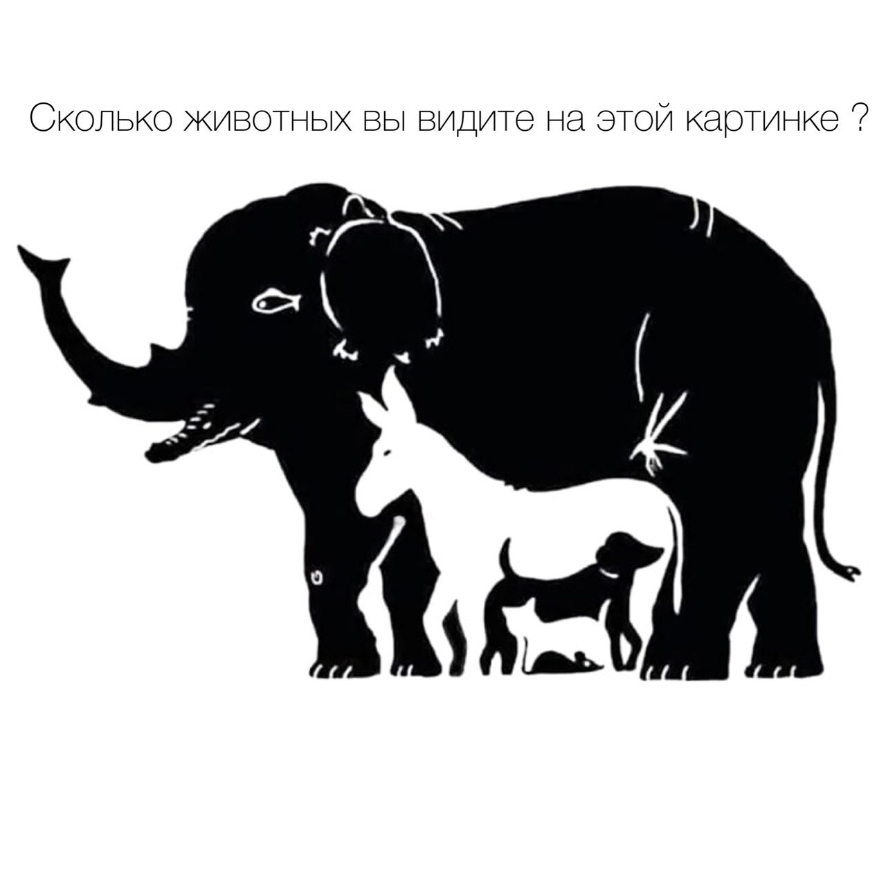 Упражнение на концентрацию и внимание | Пикабу