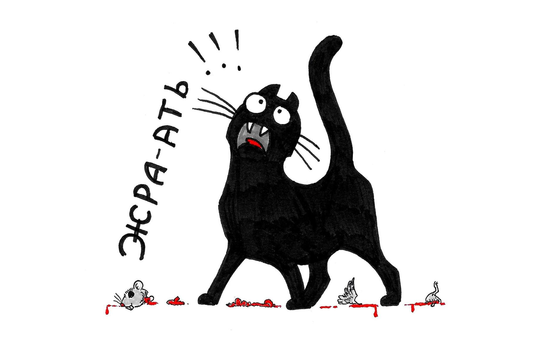 Кошачья эпопея | Пикабу