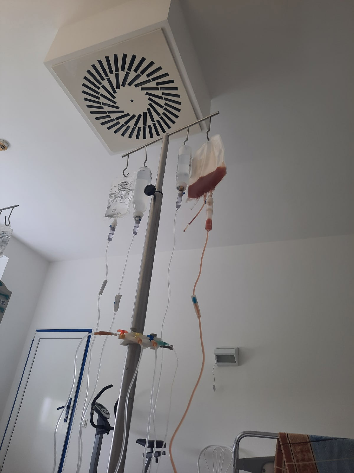 Донорство и пересадка костного мозга | Пикабу