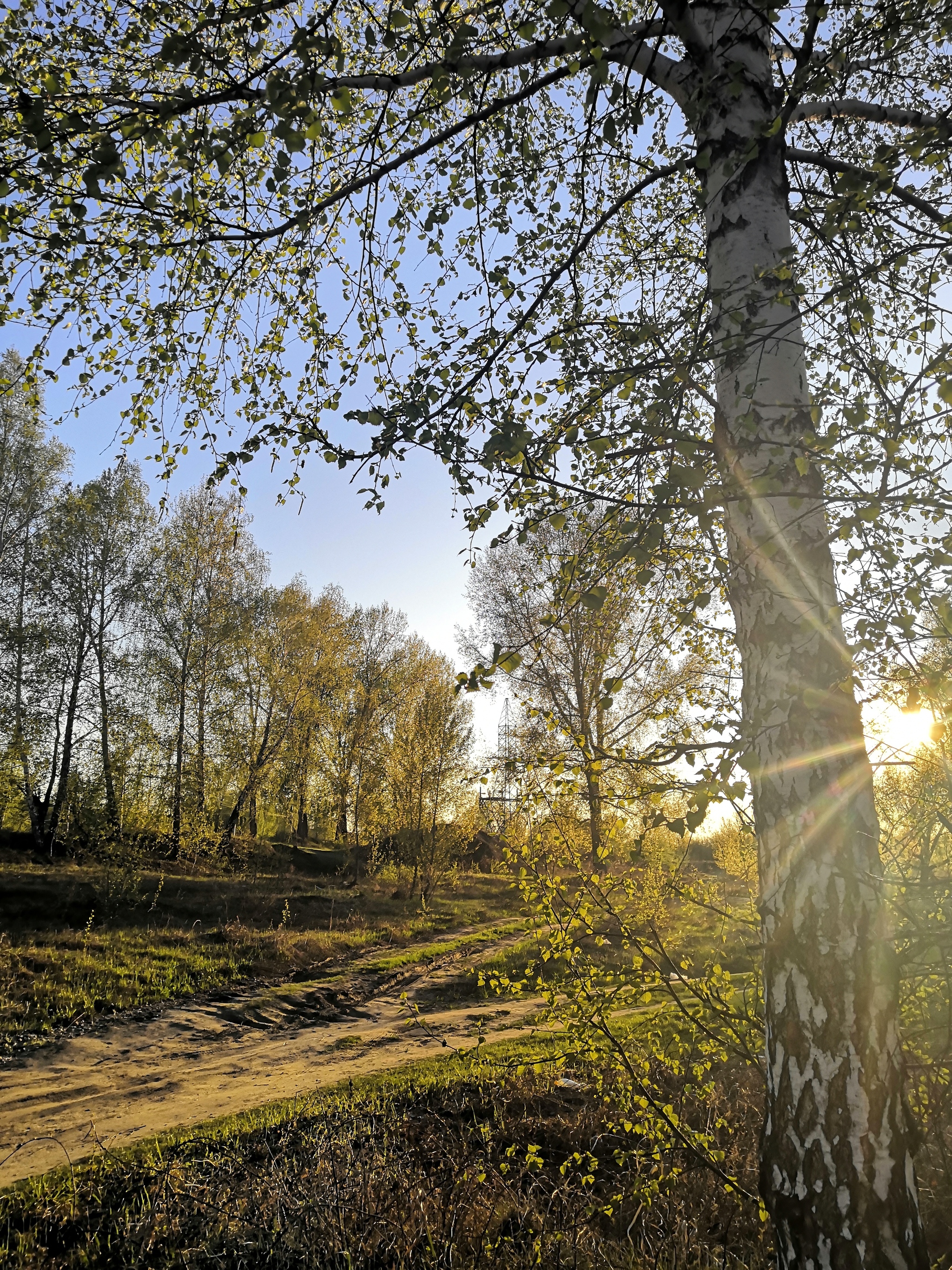 Сегодня в Новосибирске минус и снег. А я хочу чтобы было так: Первомай  фотоархива2020.На Ине, и даже черемуха уже цвела | Пикабу