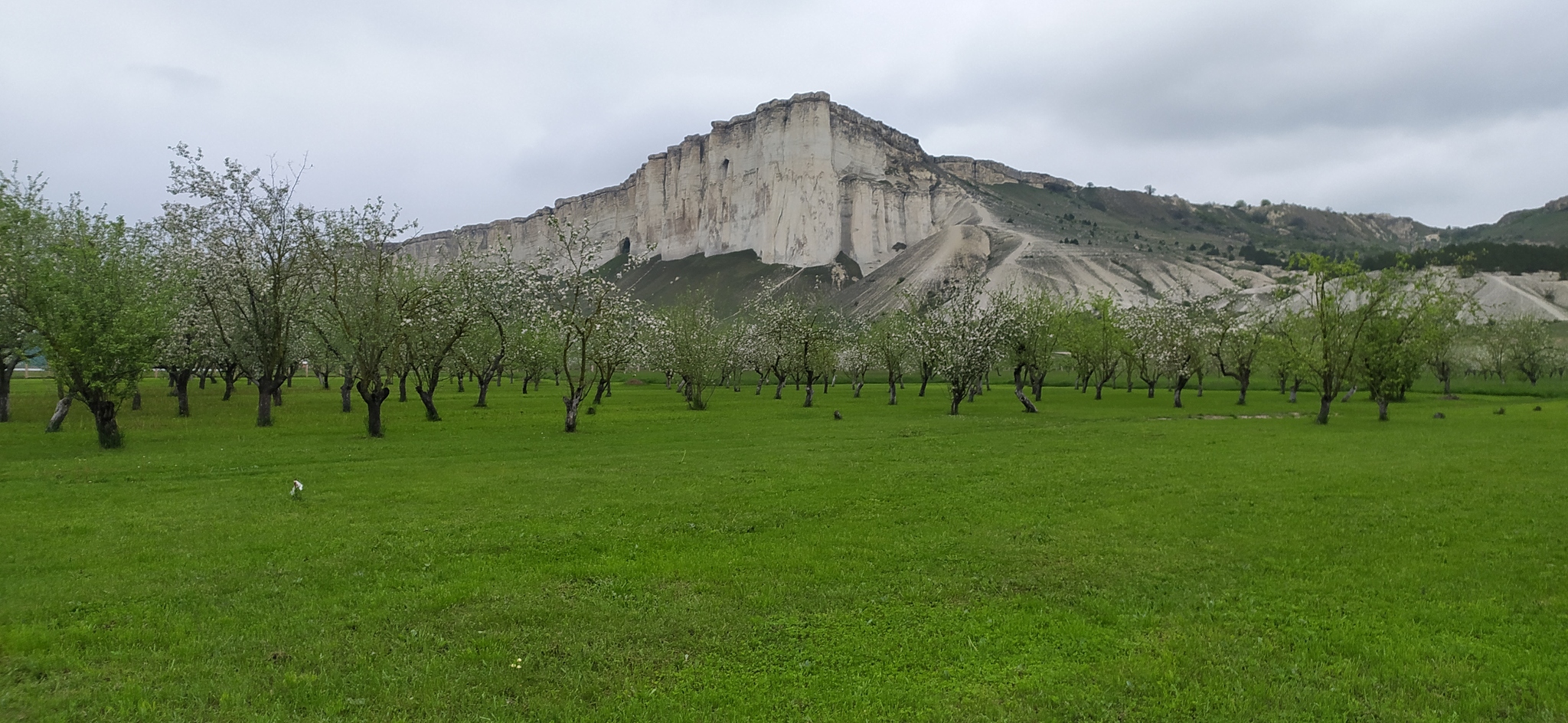 Белогорск крым займы