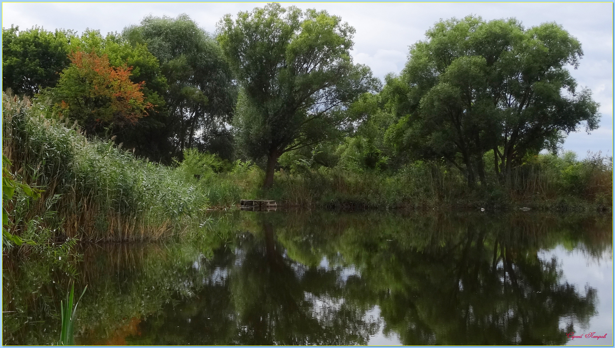 Старый пруд... | Пикабу